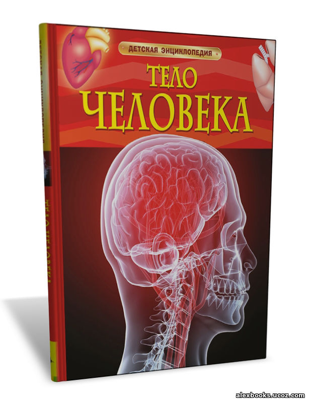 Детская энциклопедия тело человека издательство Росмэн